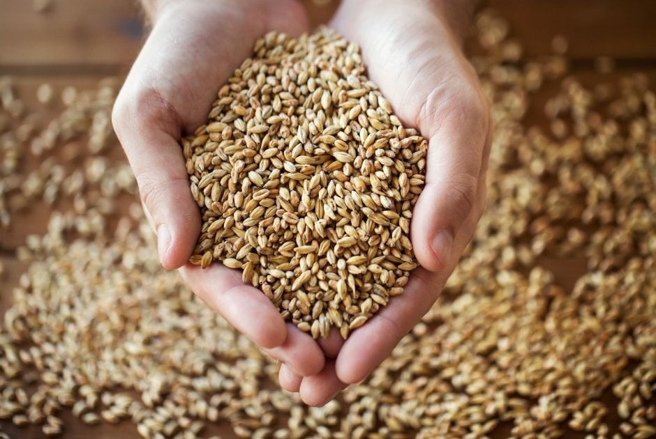 Hububat Nedir? Hububat Ürünleri Nelerdir?